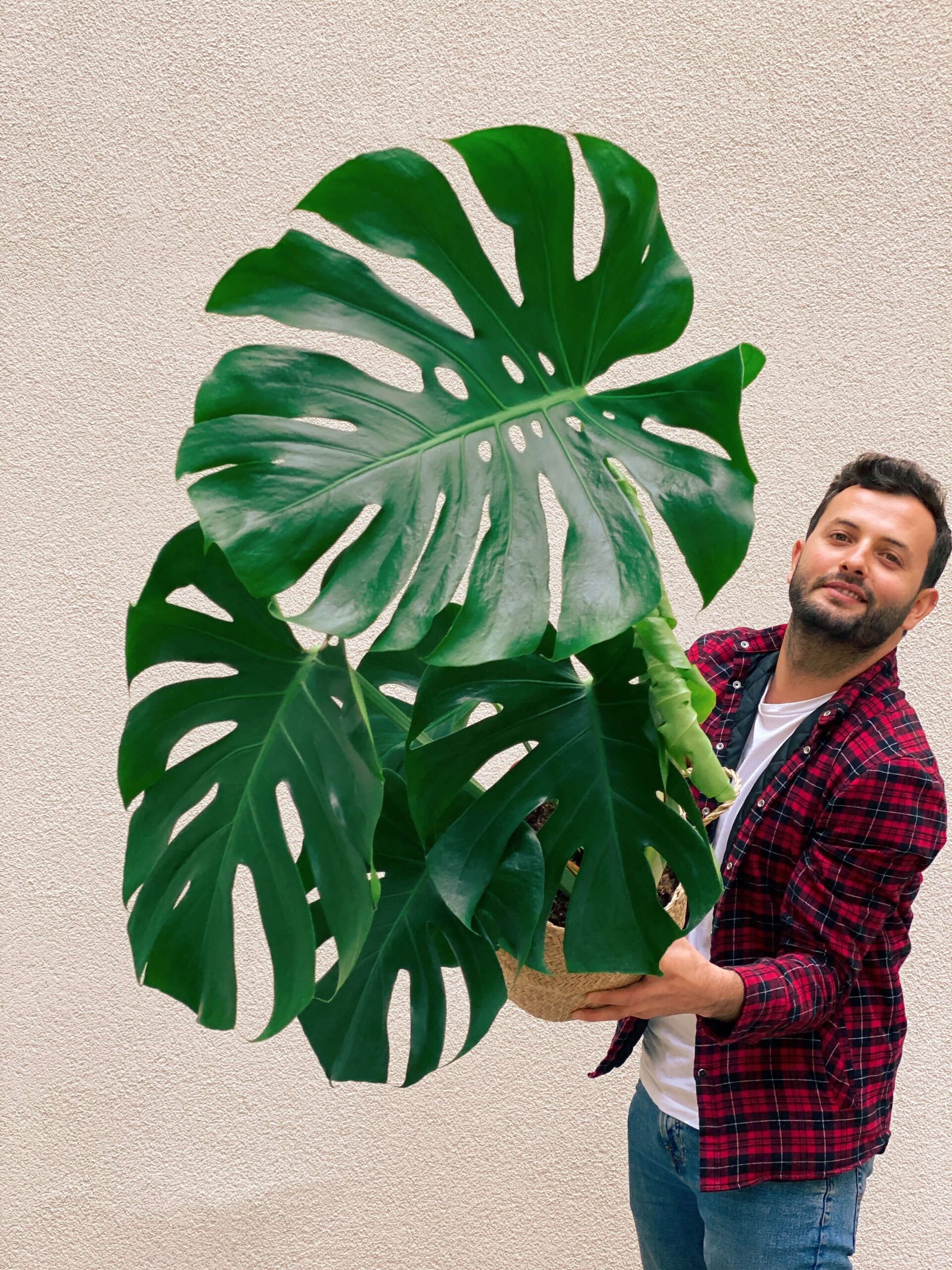 Pina Plant & Decor Röportajı- Caner Çavuşoğlu