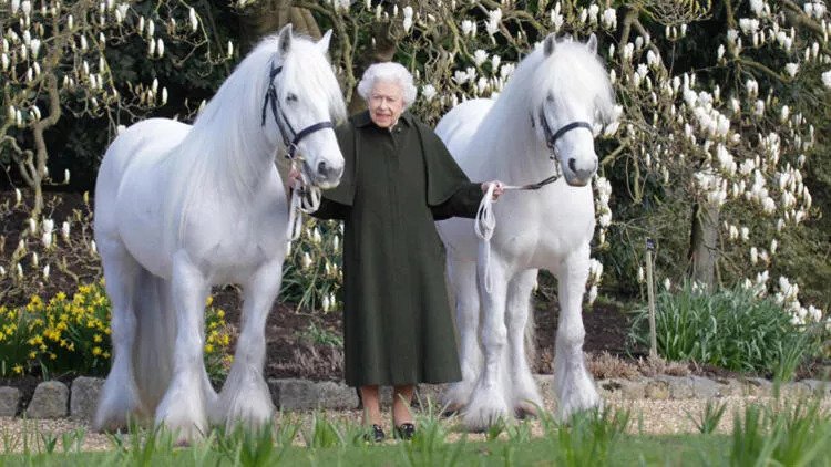 ezgif.com-gif-maker (56) - All Magazine Kraliçe 2. Elizabeth 96 yaşında!