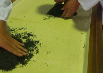 1 kilogram yeşil çay 226 bin liraya satıldı