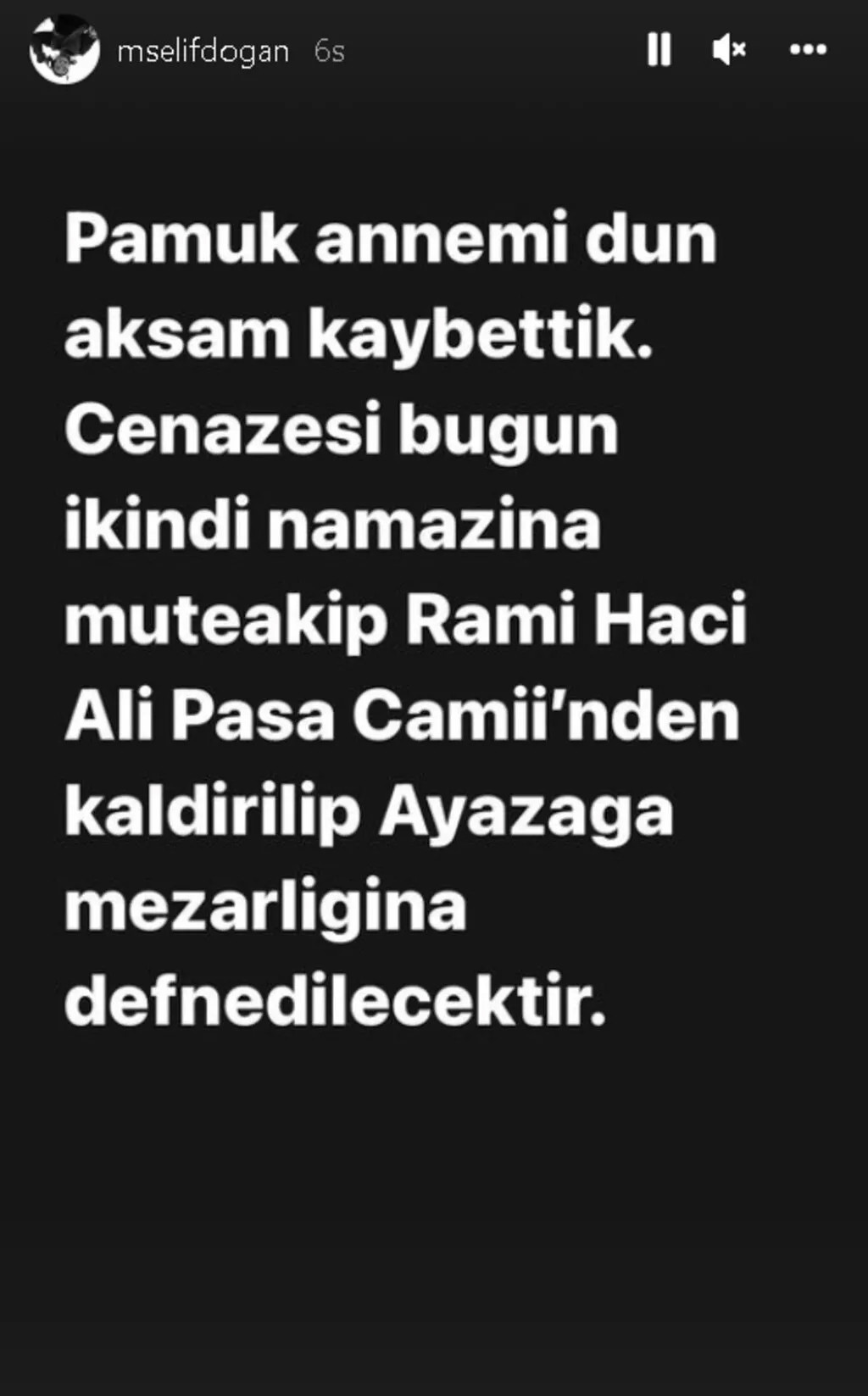 elif doğan