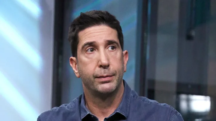 david schwimmer