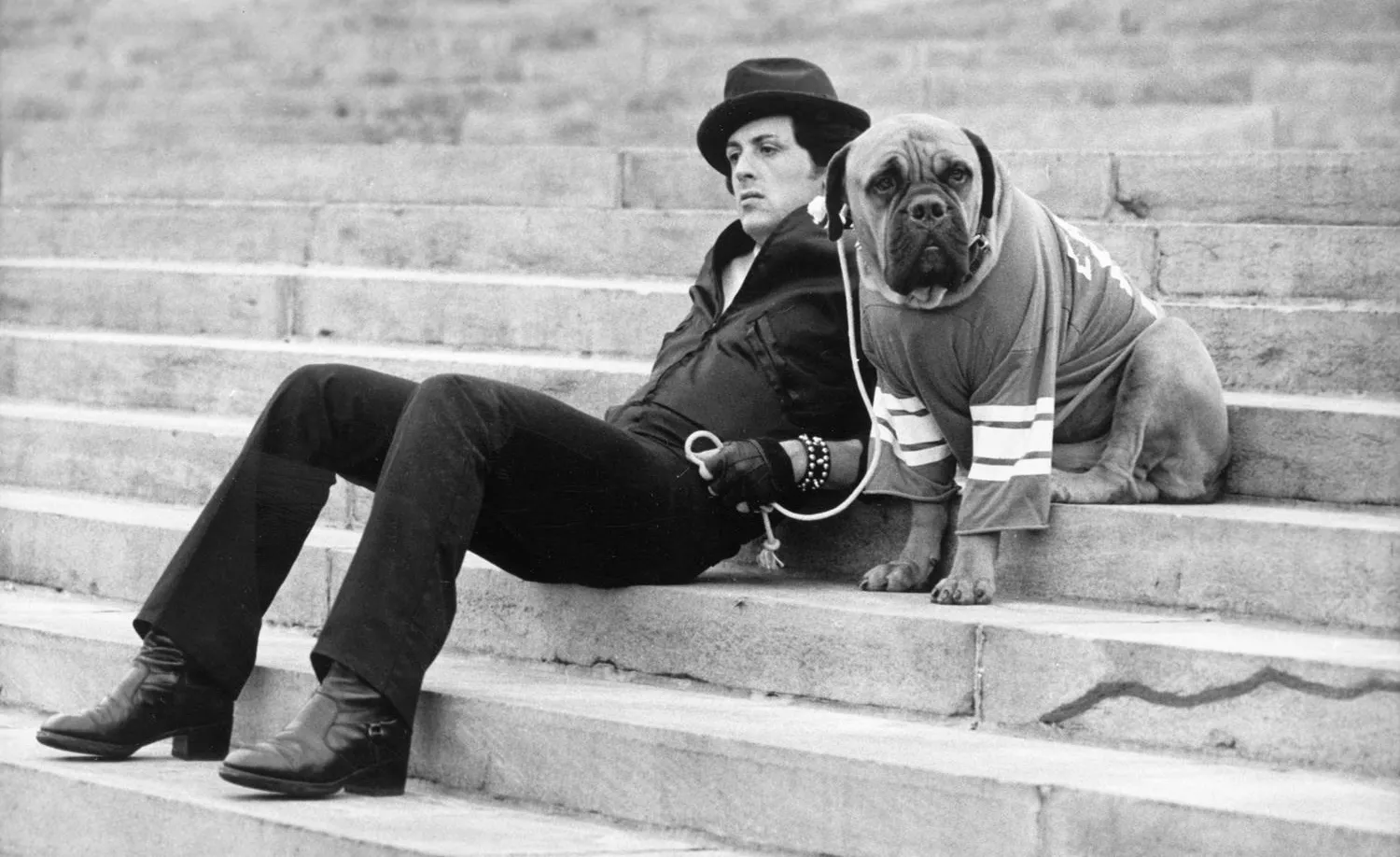 Sylvester Stallone