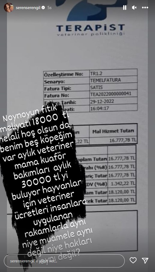 Seren Serengil köpeklerinin veteriner masraflarını paylaştı 2