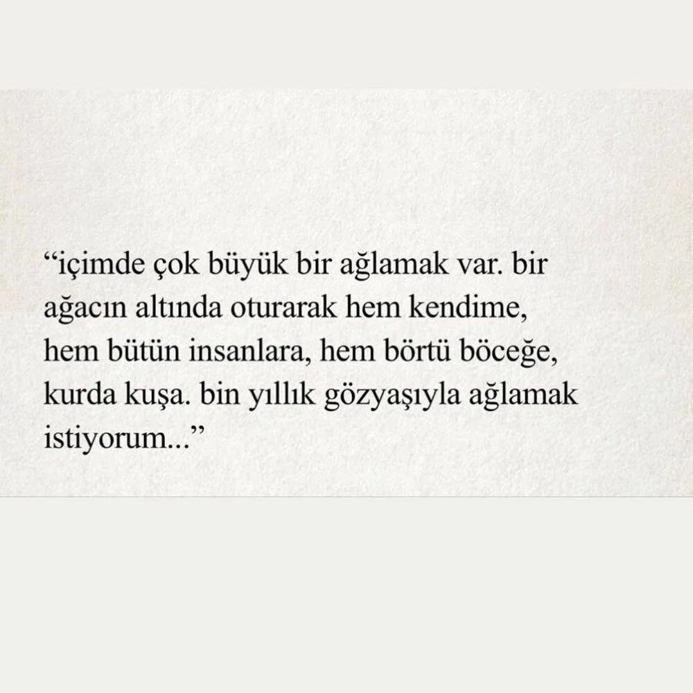 Sedef Avcı: Hepimizin yüreği enkaz altında