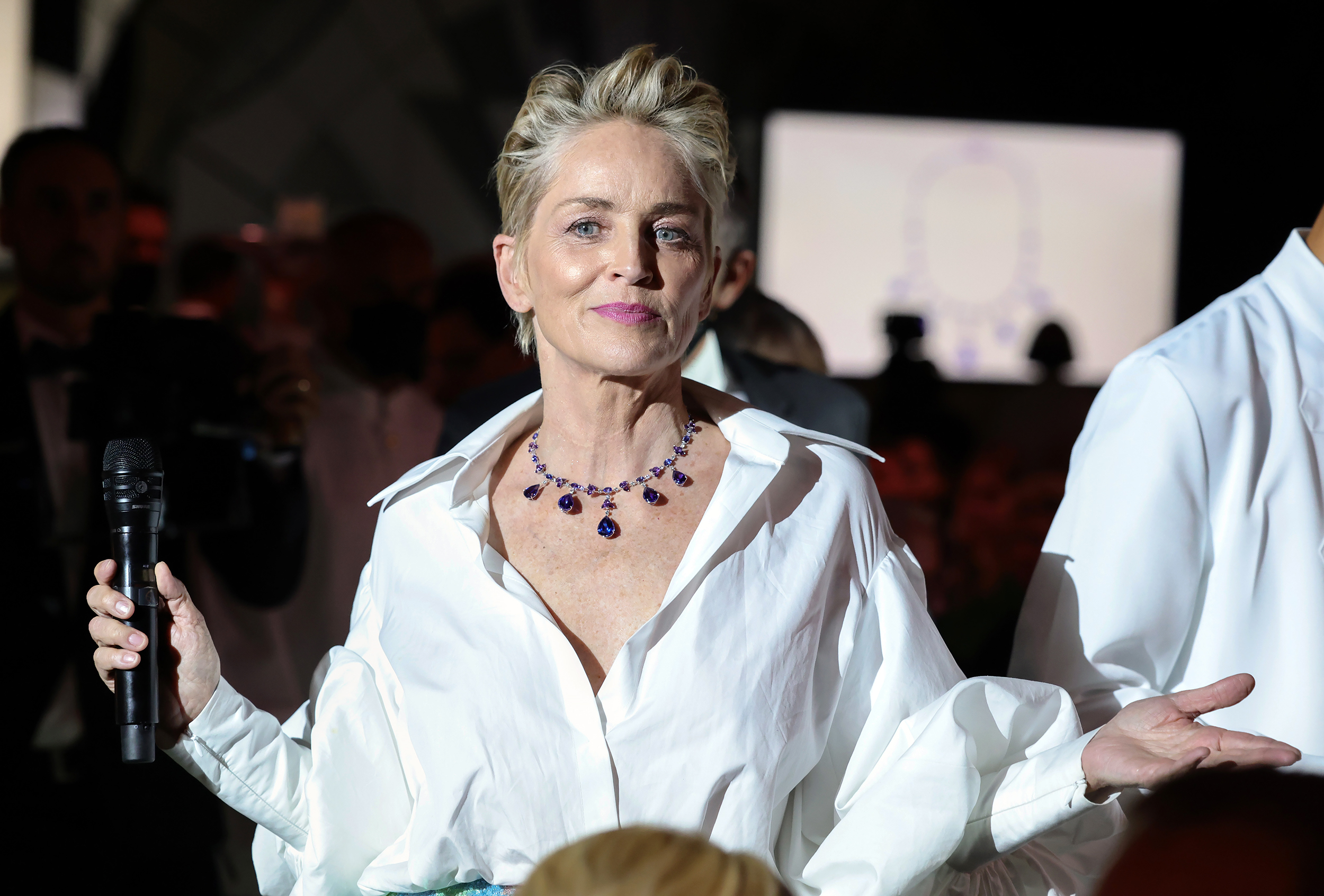 Sharon Stone Temel İçgüdü filmi yüzünden oğlumun velayetini kaybettim