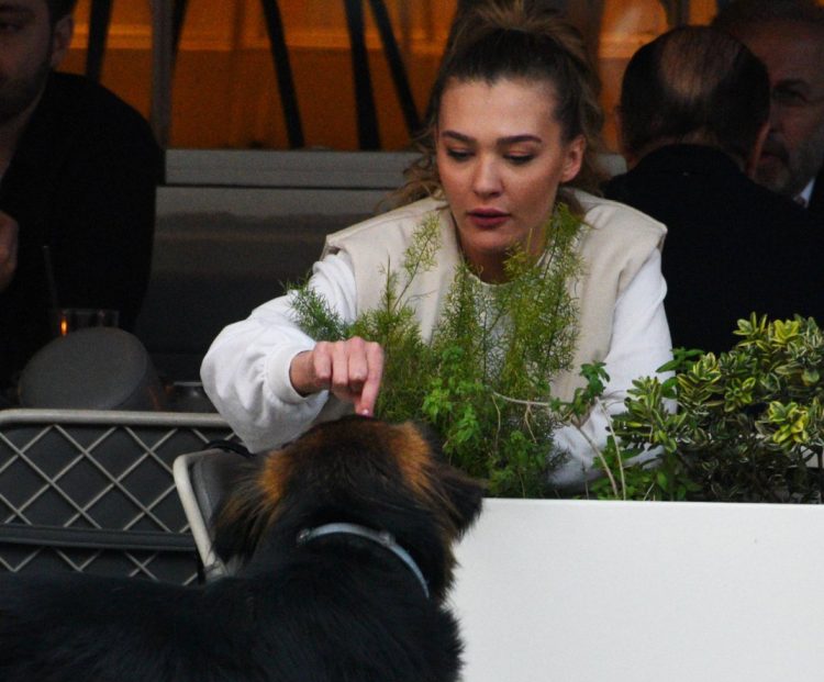 Melisa Döngel elleriyle sokak köpeğini besledi