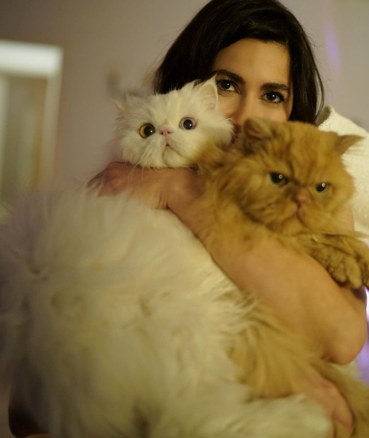 Nesrin Cavadzade kedi beslediği için komşusuyla tartıştı

