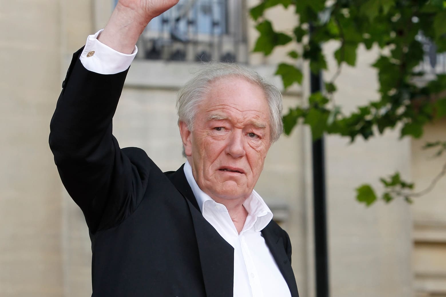 Sir Michael Gambon 82 yaşında hayata veda etti
